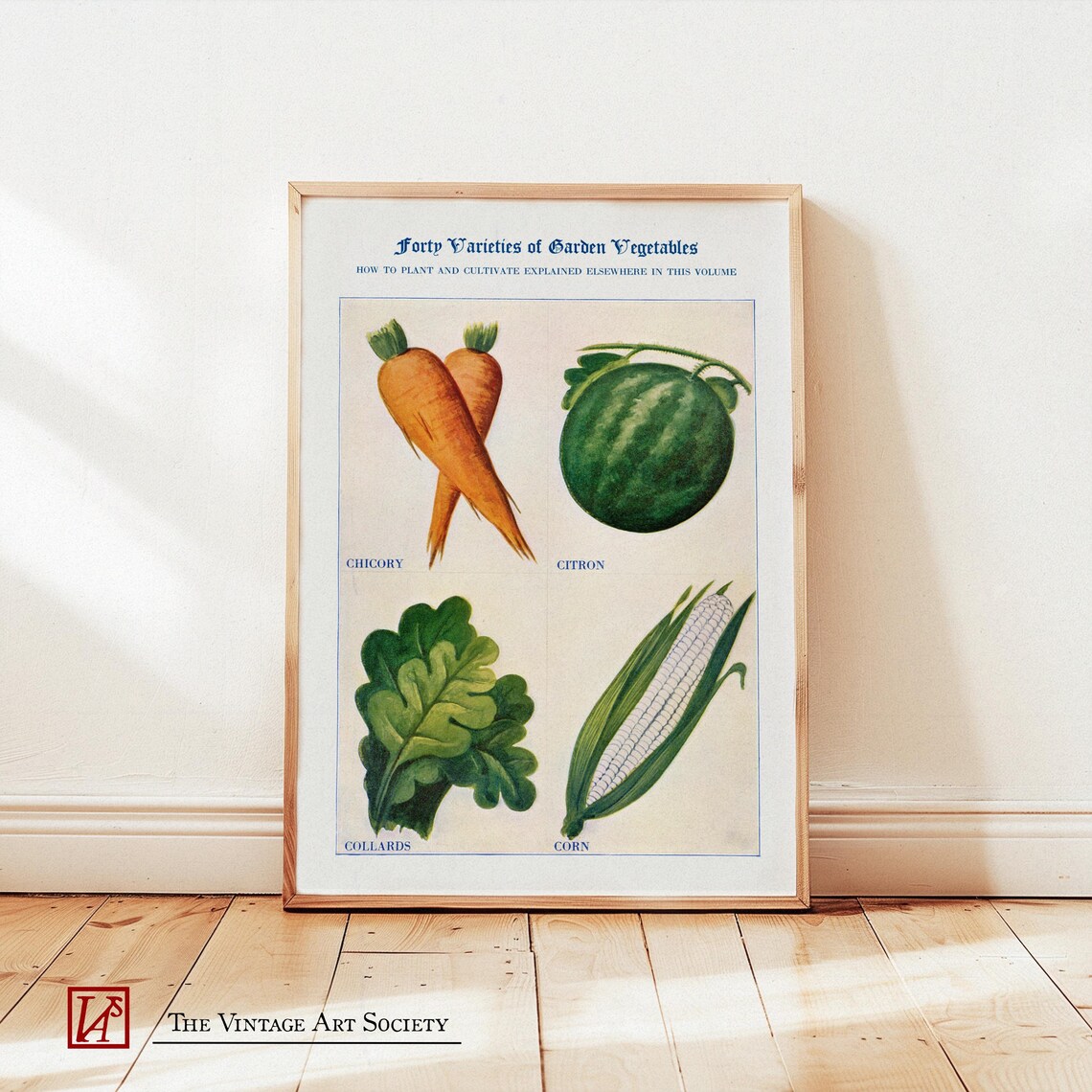 Vintage Garden Vegetables Poster Illustrated Varieties Chart Retro Carrot And Corn Poster Kitchen Wall Decor