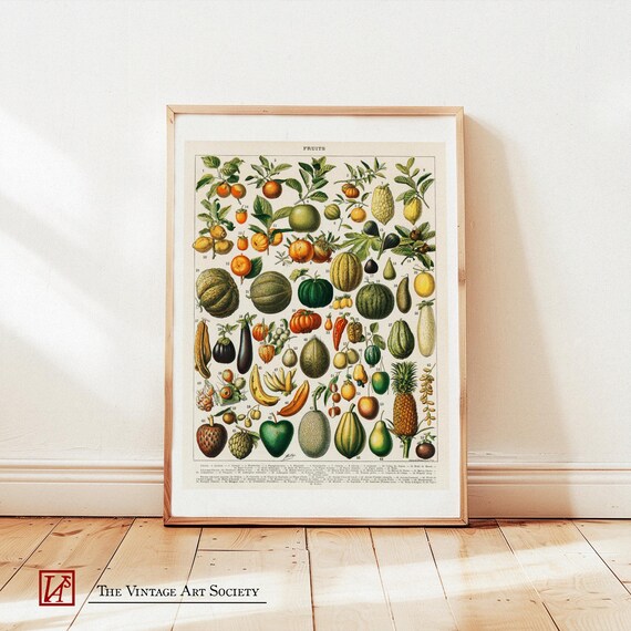 Vintage Fruit Poster Retro Wall Decor Old School Print Fruit Wall Art Encyclopedia Poster Dopamine Decor