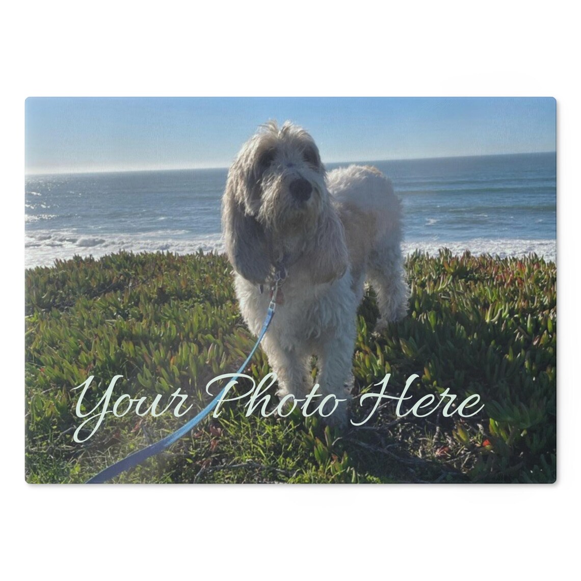 Personalized Dog Photo Glass Cutting Board Custom Gift Poster