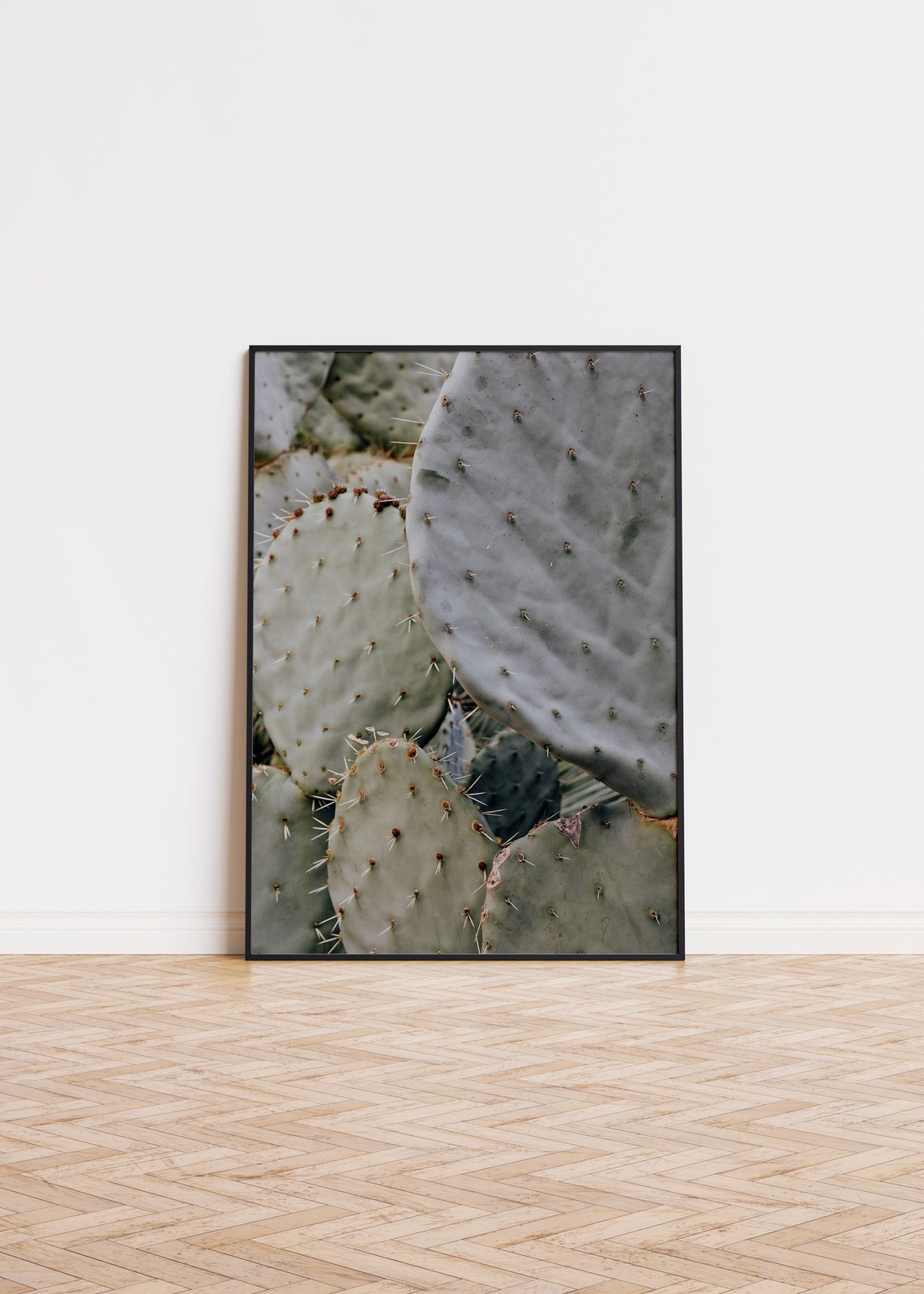 Prickly Pear Cactus Close-Up Desert Botanical Desert Photo Poster