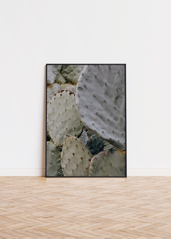 Prickly Pear Cactus Close-Up Desert Botanical Desert Photo Poster
