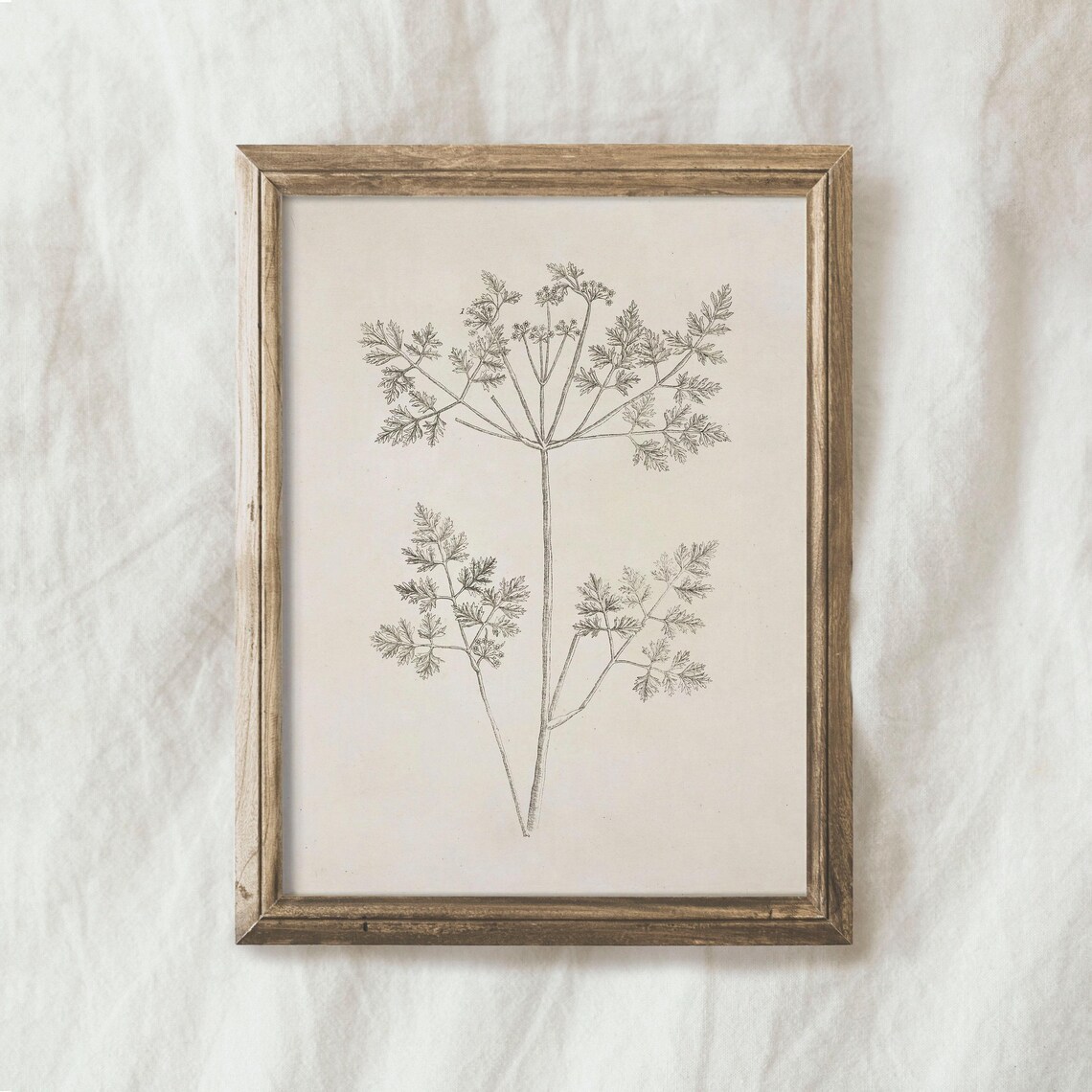 Vintage Botanical Branch Sketch Art Print, Farmhouse - Image 4