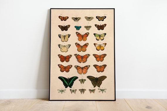 Butterflies Vintage Art Deco Poster Art Print