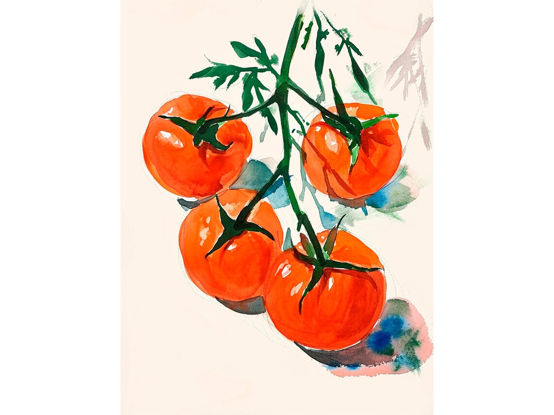 Tomatoes Watercolor Kitchen Wall Art Print