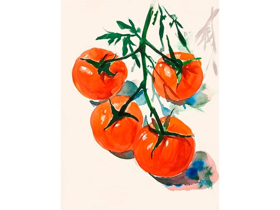 Tomatoes Watercolor Kitchen Wall Art Print