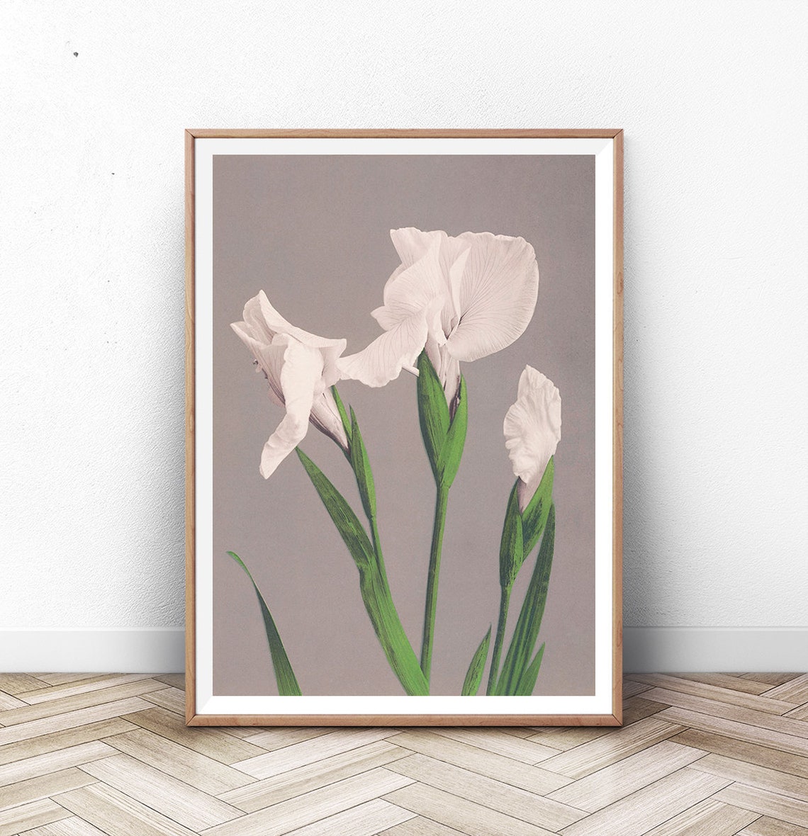 Ogawa Kazumasa White Iris Flowers Japanese Vintage Botanical Poster