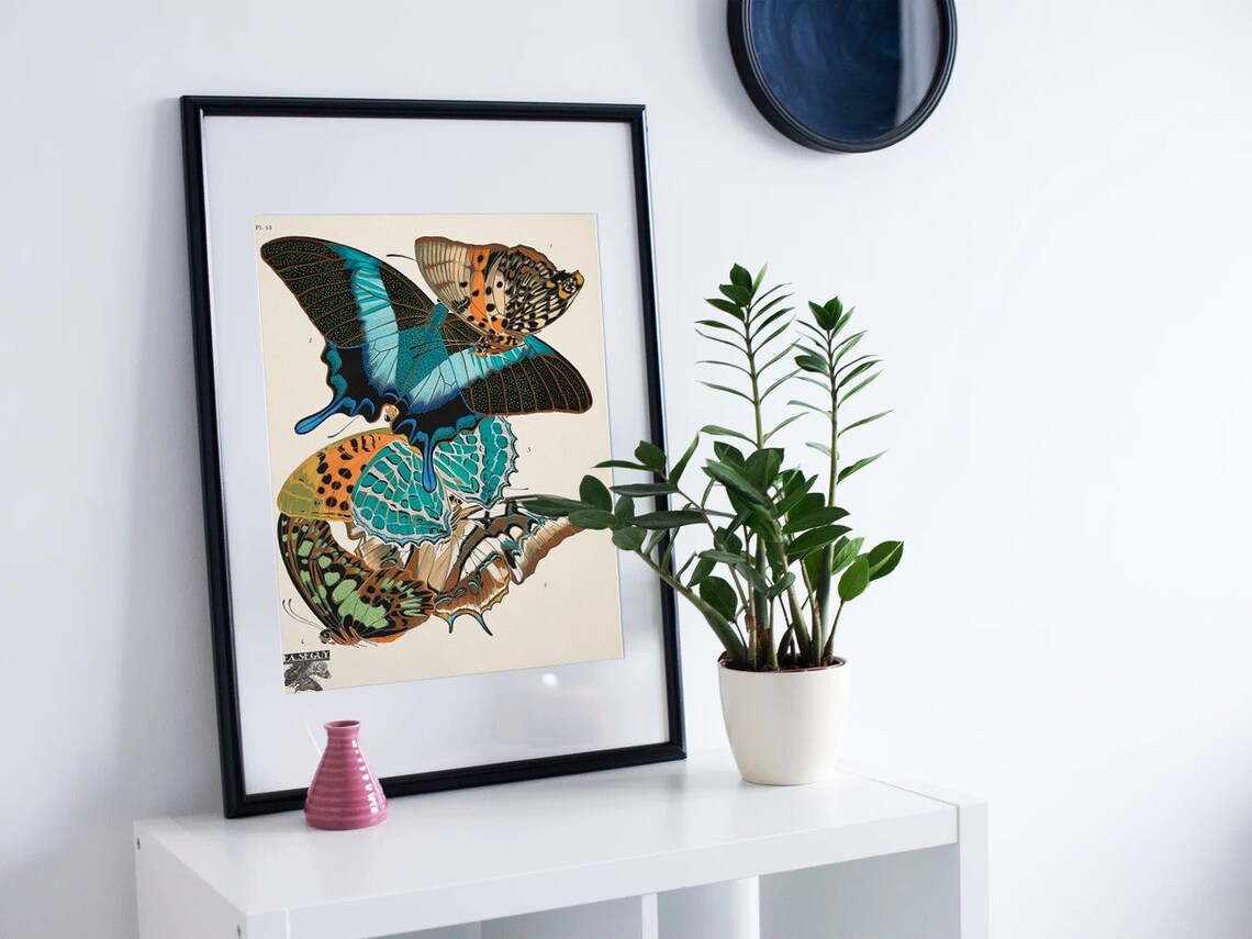 Insect Print, Bumble Bee Butterfly and Wasp Art - Image 2