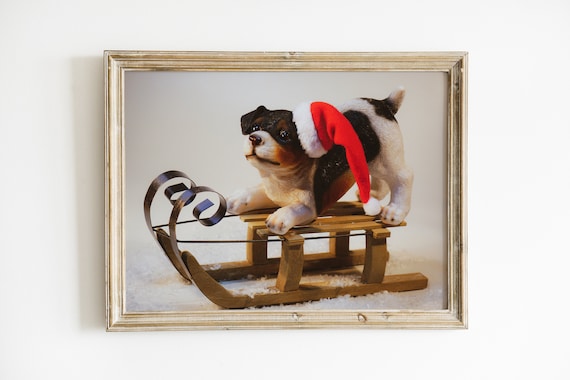 Christmas Puppy In Santa Hat Sitting On Wooden Sleigh In Snow Poster