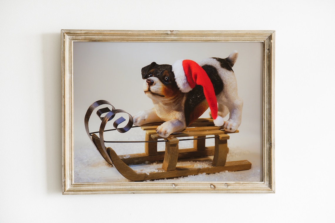 Christmas Puppy In Santa Hat Sitting On Wooden Sleigh In Snow Poster