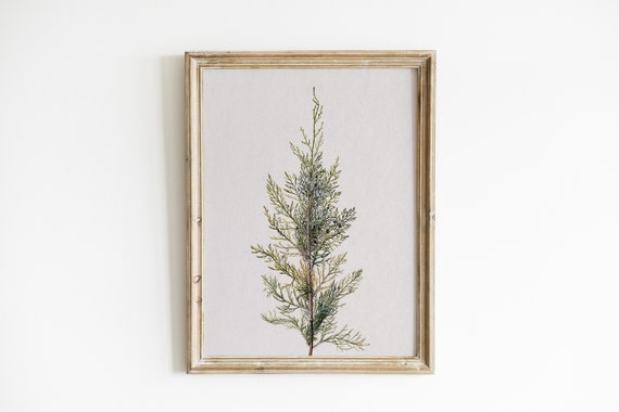 Winter Branch Vintage Christmas Poster Print