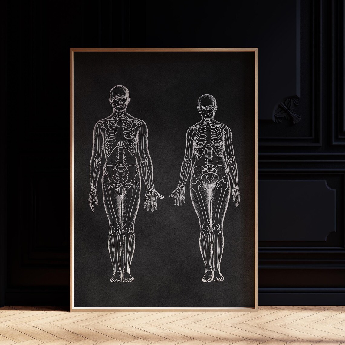 Vintage Human Skeleton Anatomy Dark Halloween Wall Art Poster