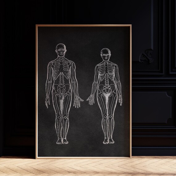 Vintage Human Skeleton Anatomy Dark Halloween Wall Art Poster
