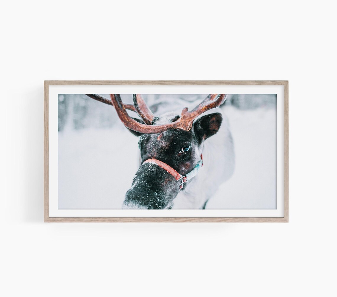 Frame Tv Art Winter Reindeer Tv Art Reindeer Frame Tv Art Snowy Winter Tv Art Christmas Frame Tv Winter Reindeer T776