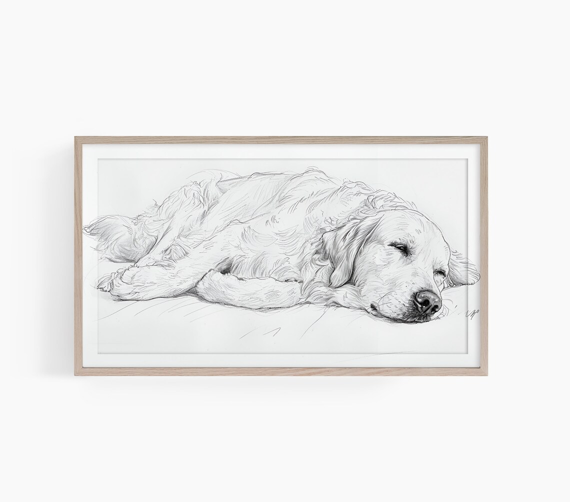 Golden Retriever Pencil Drawing Art Print