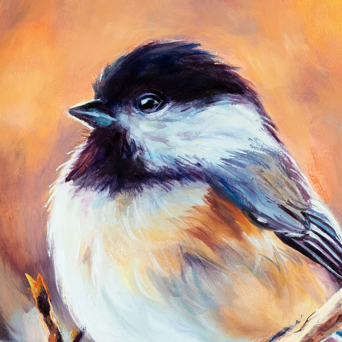 Chickadee Perched on a Branch Glowing in Warm Amber Light Poster - Image 3