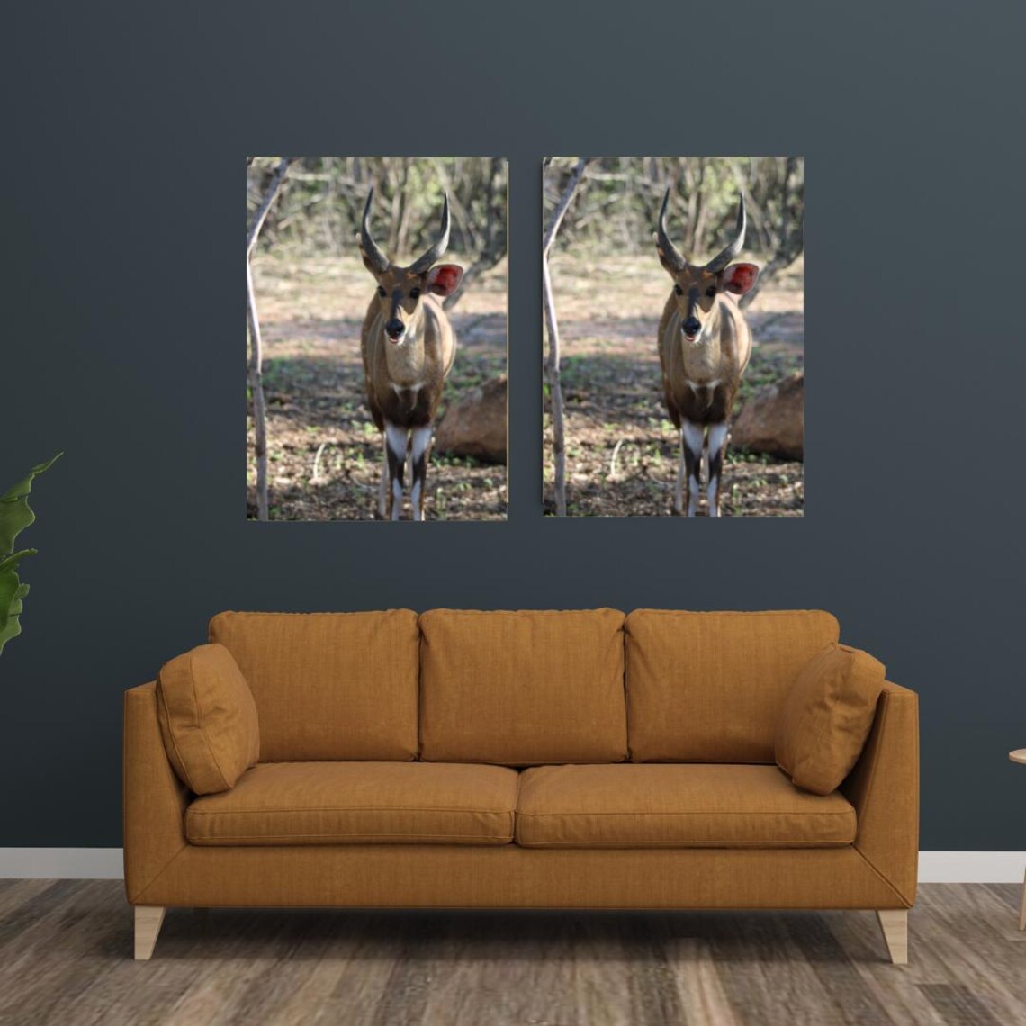 Nyala Antelope Standing Alert Among Trees In The Woodland Poster - Image 3