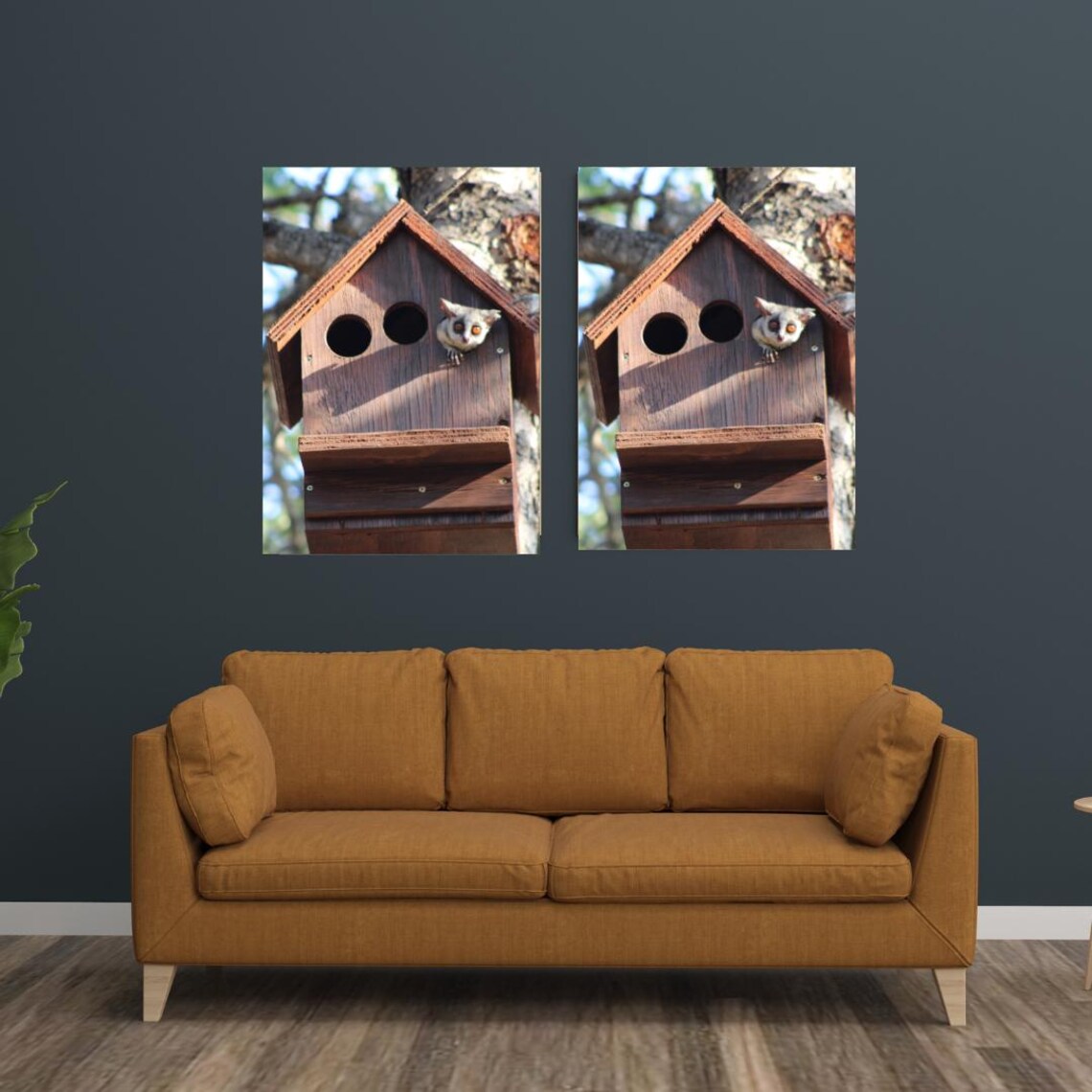 Cute Bush Baby Peeking Out Of A Wooden Birdhouse In A Tree Poster - Image 3