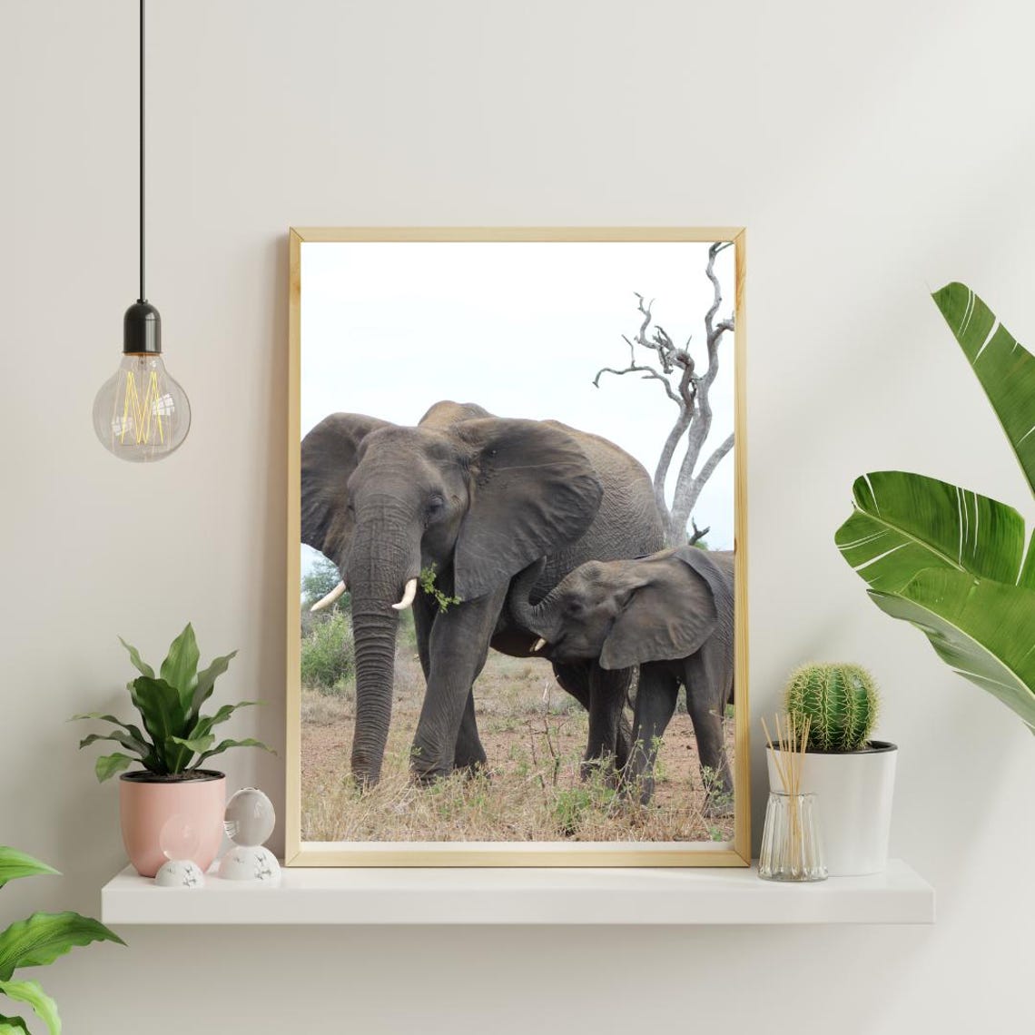 Elephants Art, Africa Game Reserves - Image 4