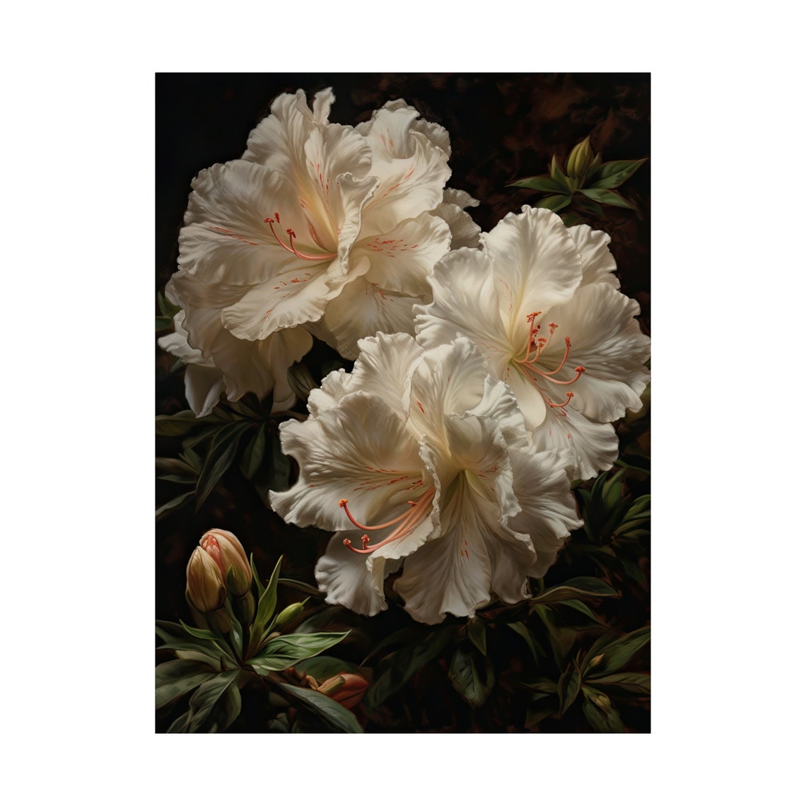 White Azalea Blossoms With Pink Stamens Dark Botanical Art Poster - Image 4