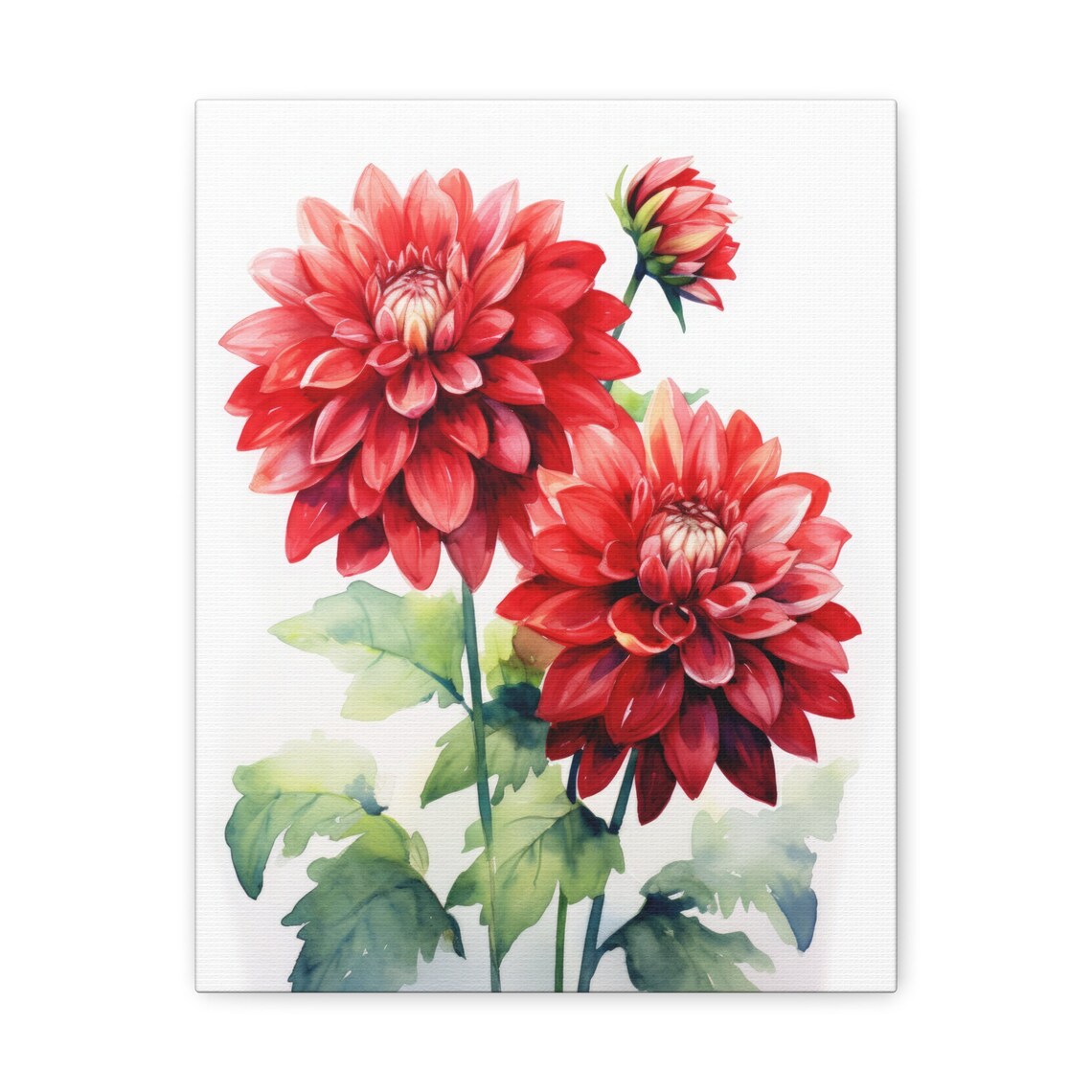 Vibrant Red Dahlia Blooms Fresh Watercolor Botanical Floral Poster - Image 2