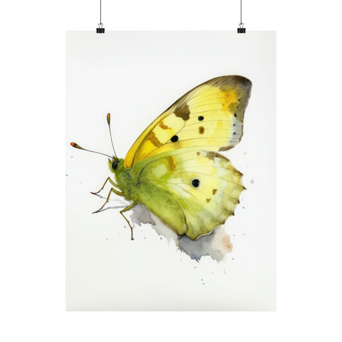 Clouded Sulphur Butterfly Pale Yellow Watercolor Nature Wall Art - Image 5