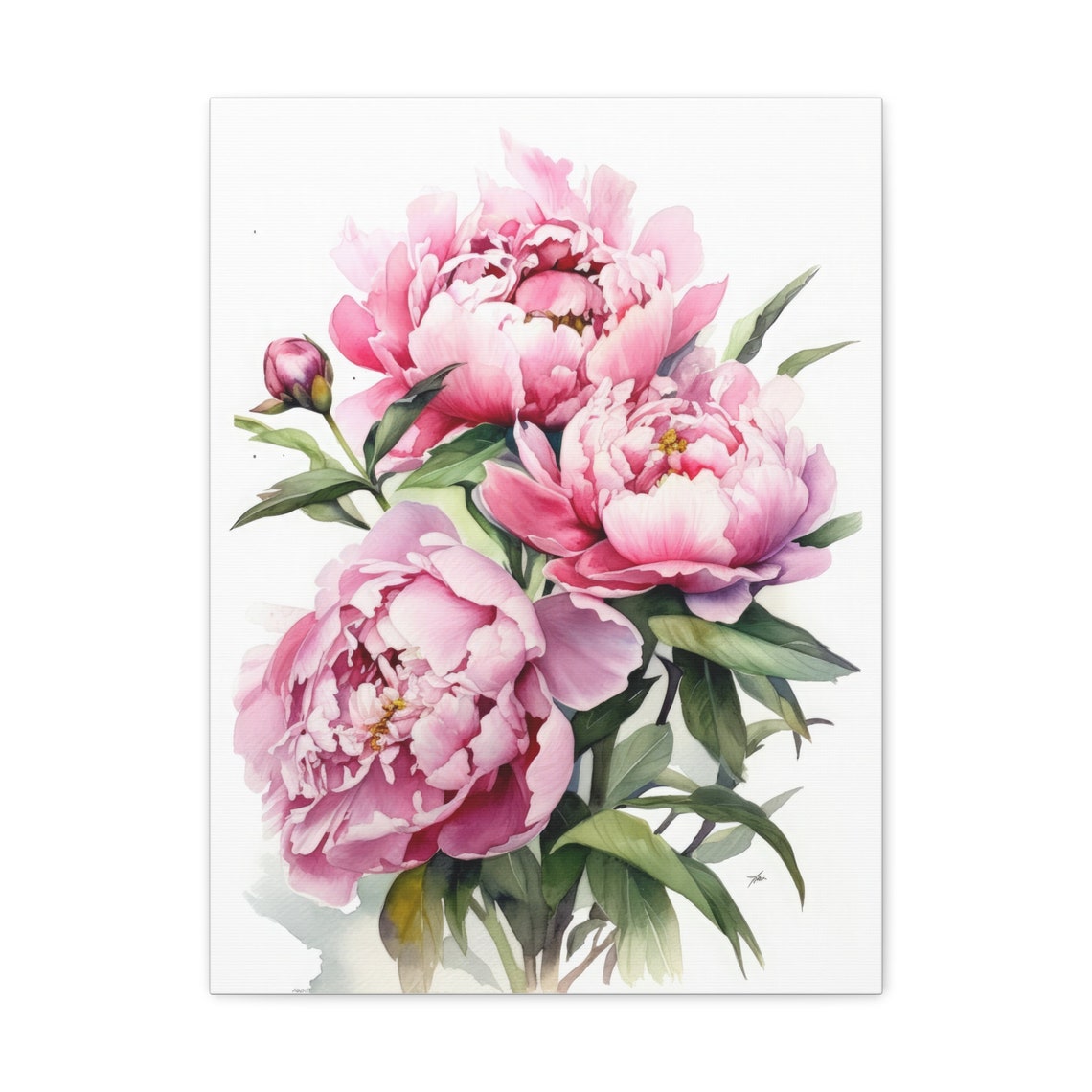 Pink Peony Watercolor Lush Blush Blooms Green Leaves Art Print