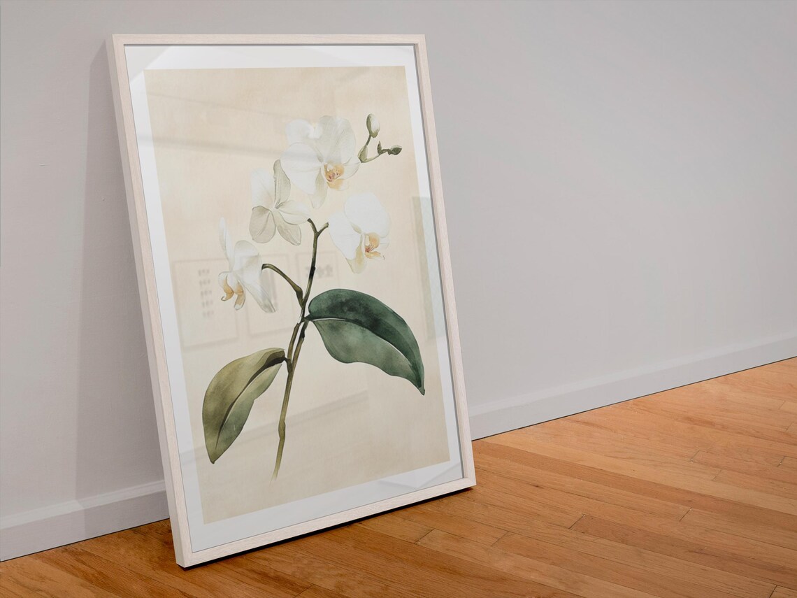 White Orchid Blossoms Watercolor Botanical Minimalist Art Poster