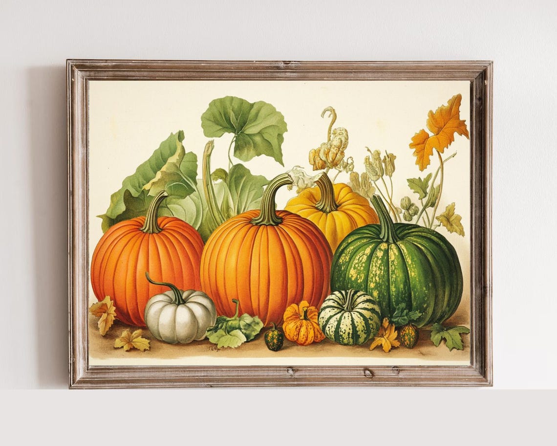 Pumpkins And Squash Harvest Illustration Vintage Botanical Poster