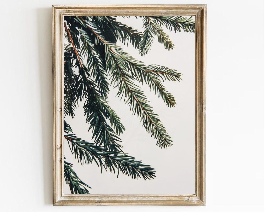 Pine Fir Branch Close Up Study Minimalist White Botanical Art Print