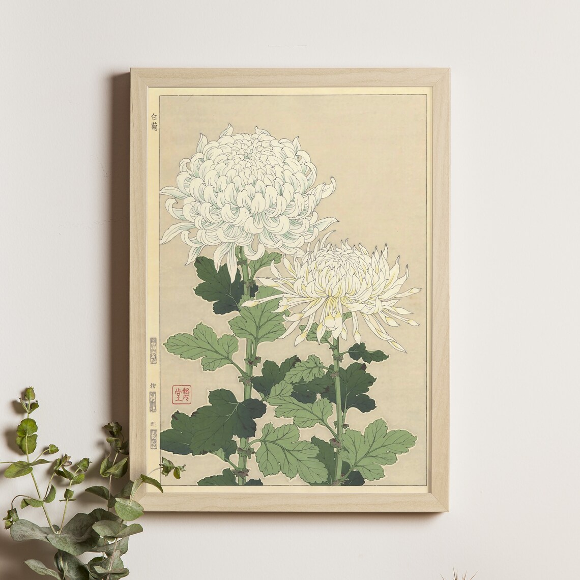 White Chrysanthemums, Japanese Ukiyo-e Art Print