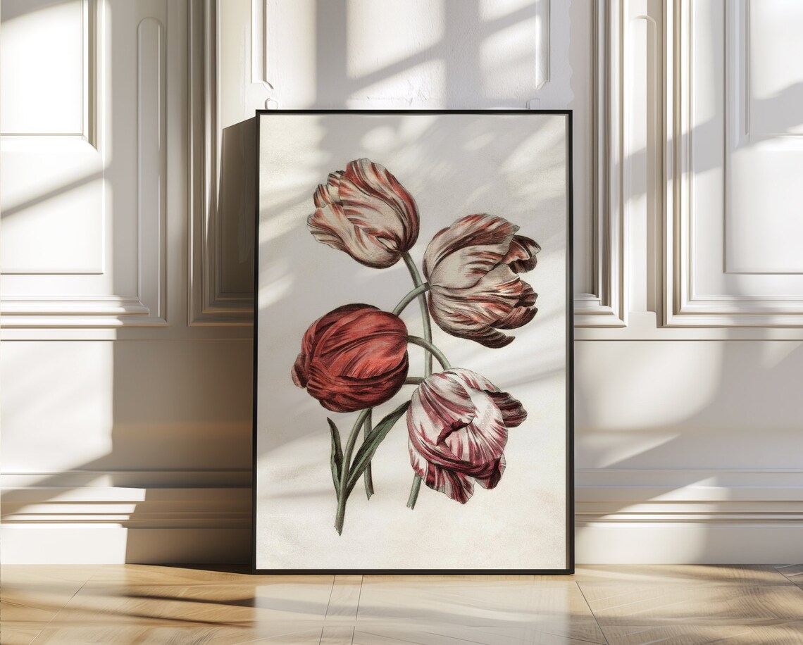 Striped Tulips Four Blooms Antique Botanical Illustration Poster - Image 2