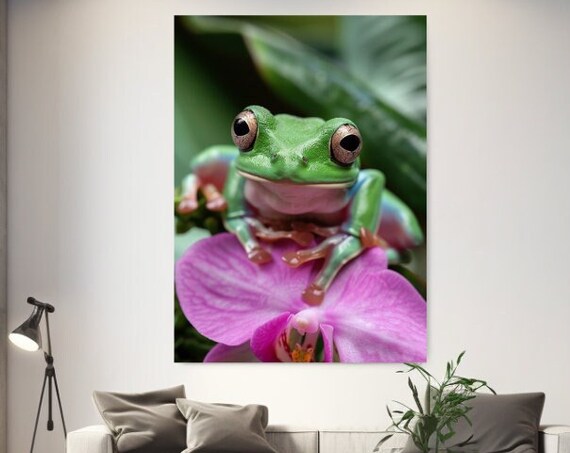 Green Tree Frog On Pink Orchid Bloom Macro Close Up Wall Art