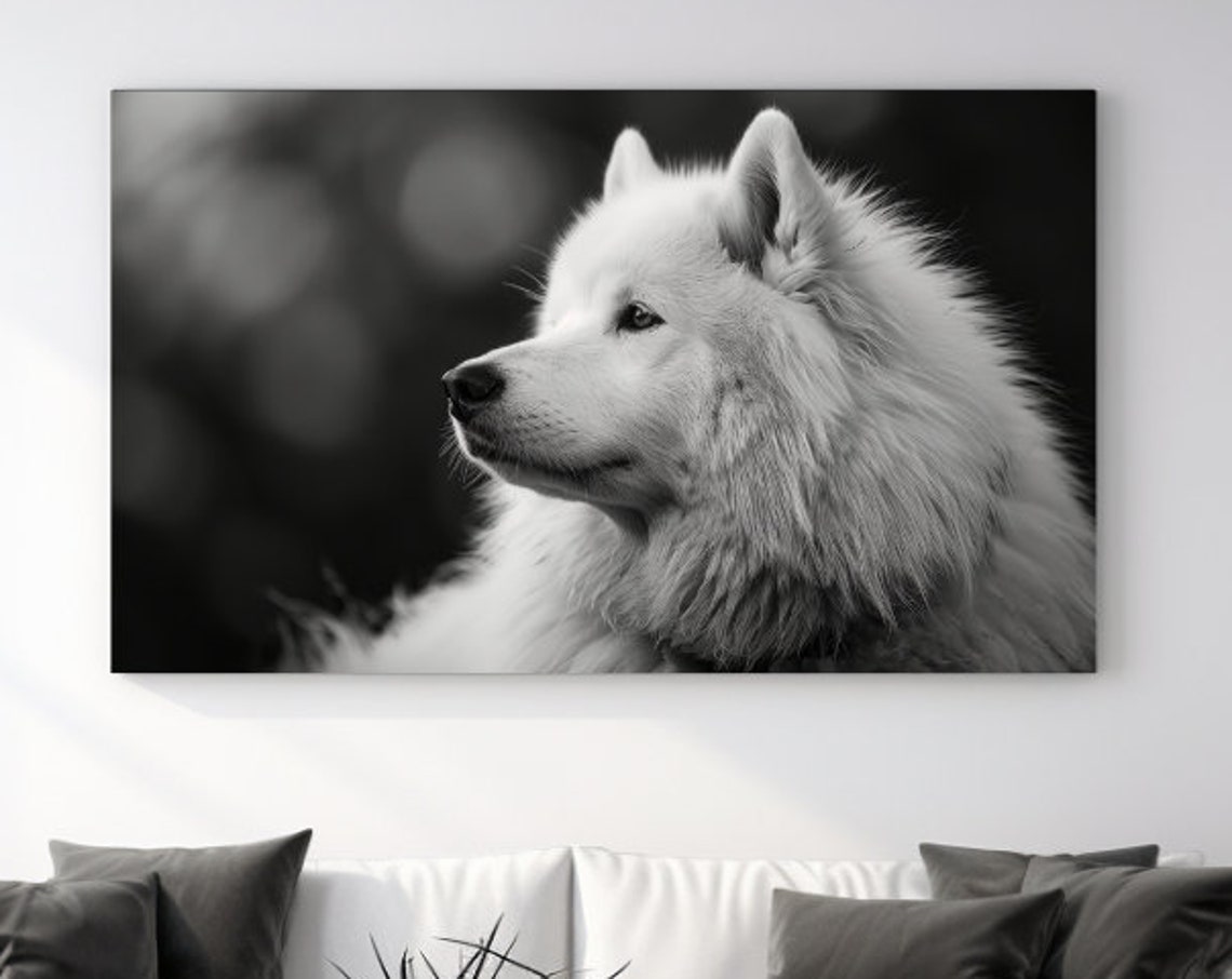 Black And White Samoyed Dog Portrait Fluffy Profile Wall Art