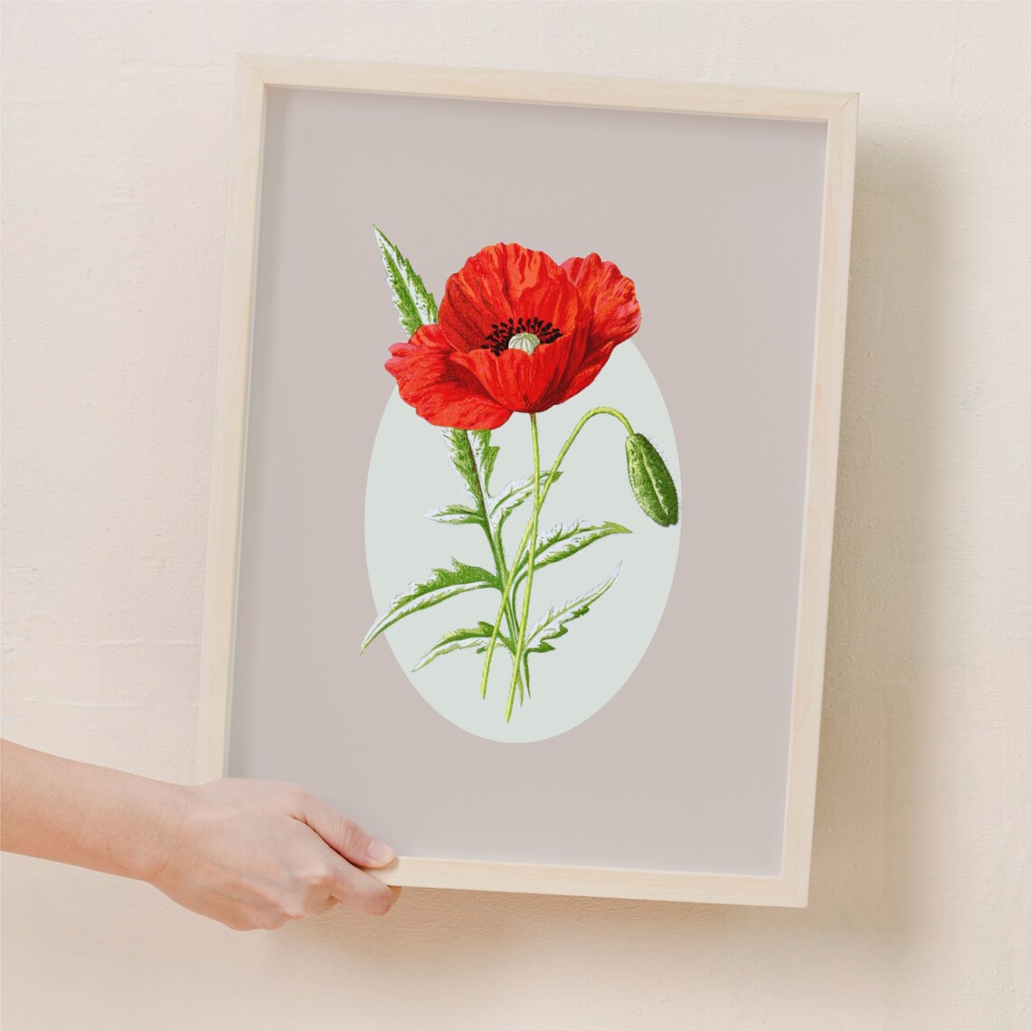 Poppy Wildflower Botanical Wall Art Print