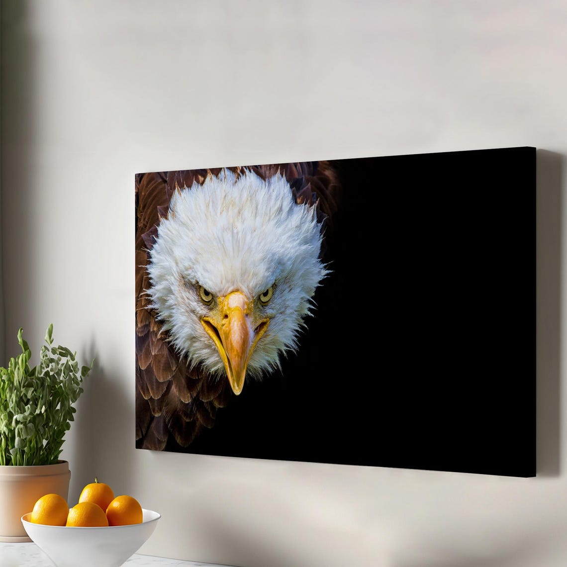Bald Eagle Intense Close Up Portrait On Black Background Photo Print