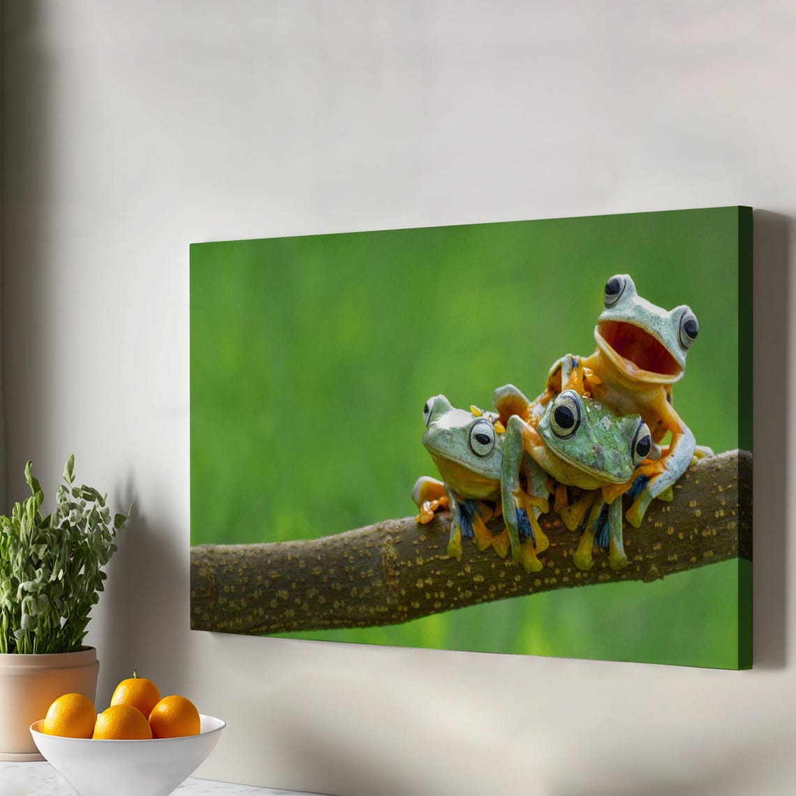 Tree Frogs on Branch Macro Photo Funny Amphibian Wildlife Art Poster