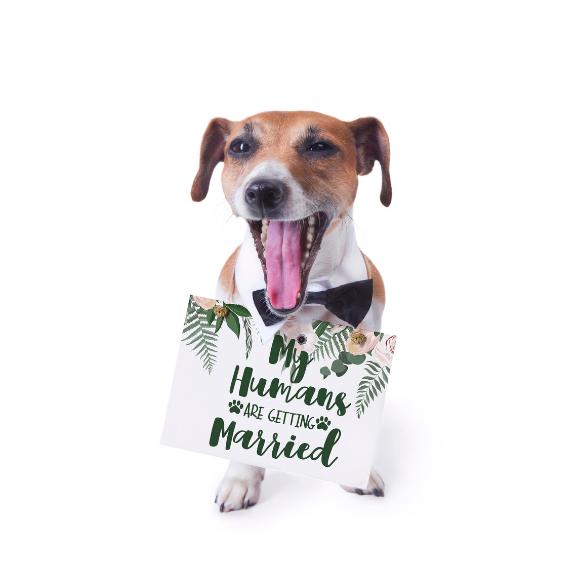 My Humans Are Getting Married Funny Dog Wedding Photo Poster