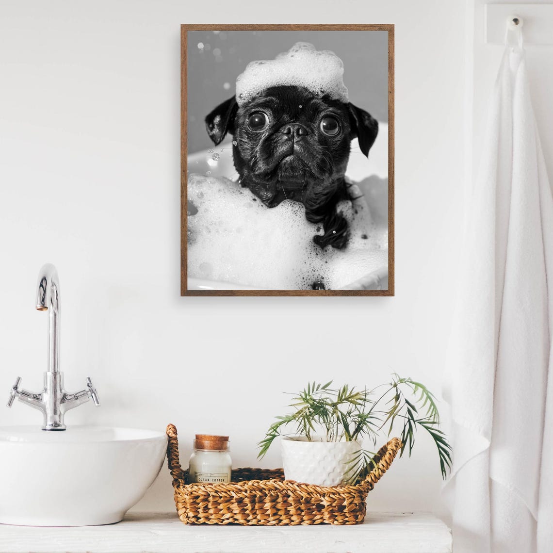 Black Pug in a Bubble Bath With a Foam Hat Black and White Poster - Image 2