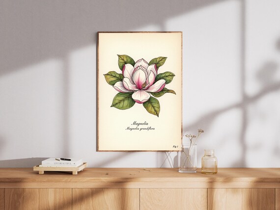 Magnolia Grandiflora Vintage Botanical Illustration Flower Poster