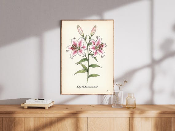 Vintage Lily Watercolor Print Pink Green Botanical Art