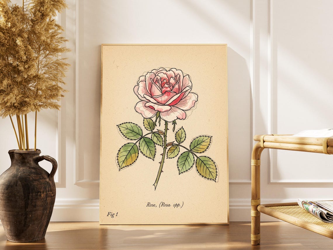 Vintage Rose Art Print Pink Green Botanical Decor