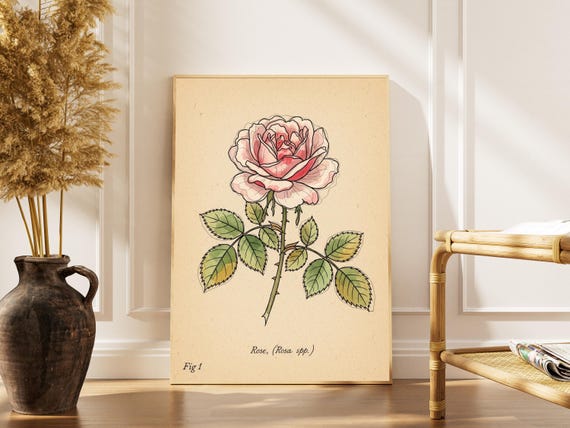 Vintage Rose Art Print Pink Green Botanical Decor