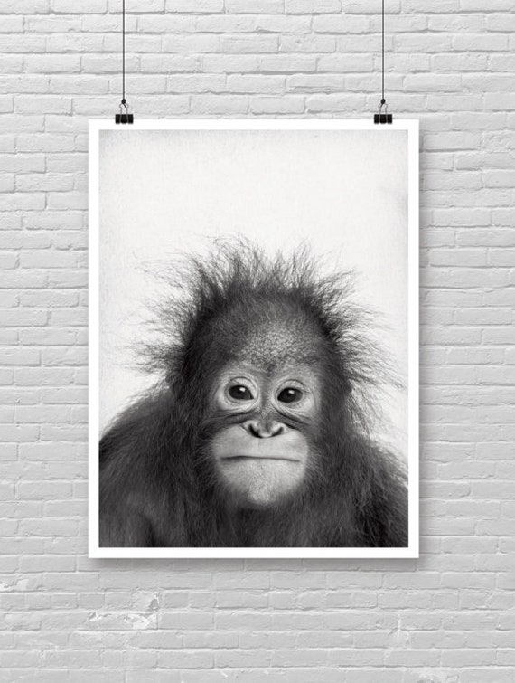 Baby Baboon Print Monkey Photo Poster Jungle Theme Cute Face Peekaboo Animal The Book Decor