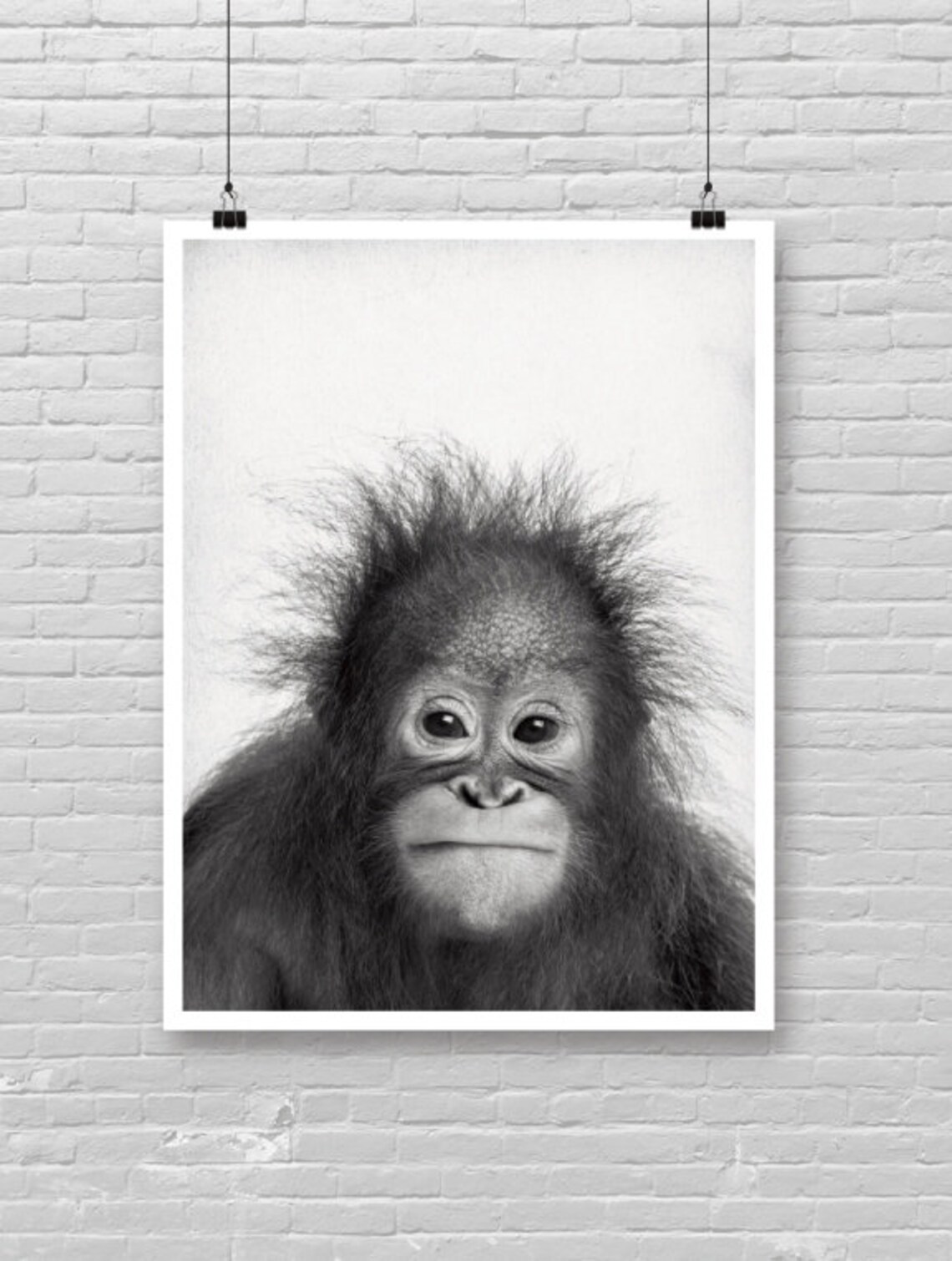 Baby Orangutan Close Up Portrait Black White Jungle Animal Photo Poster