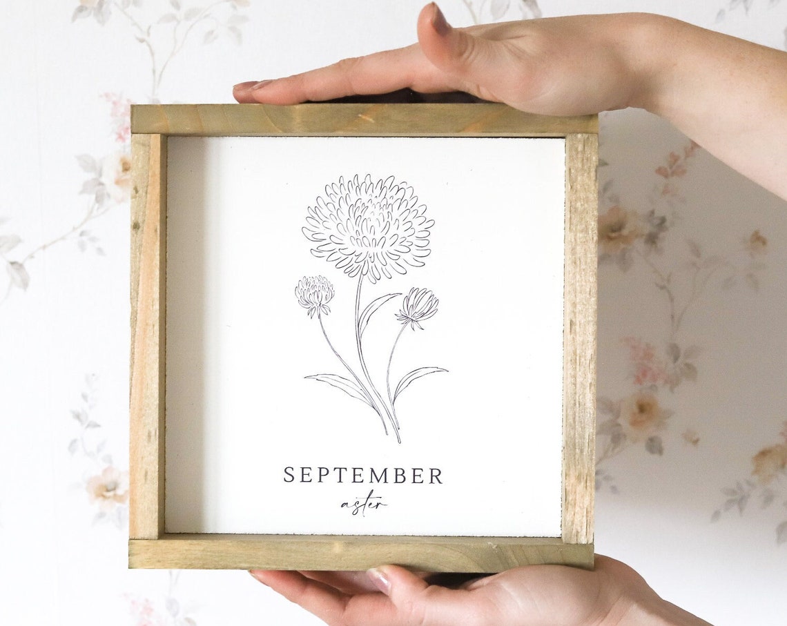 September Aster Birth Month Flower Line Drawing Botanical Poster