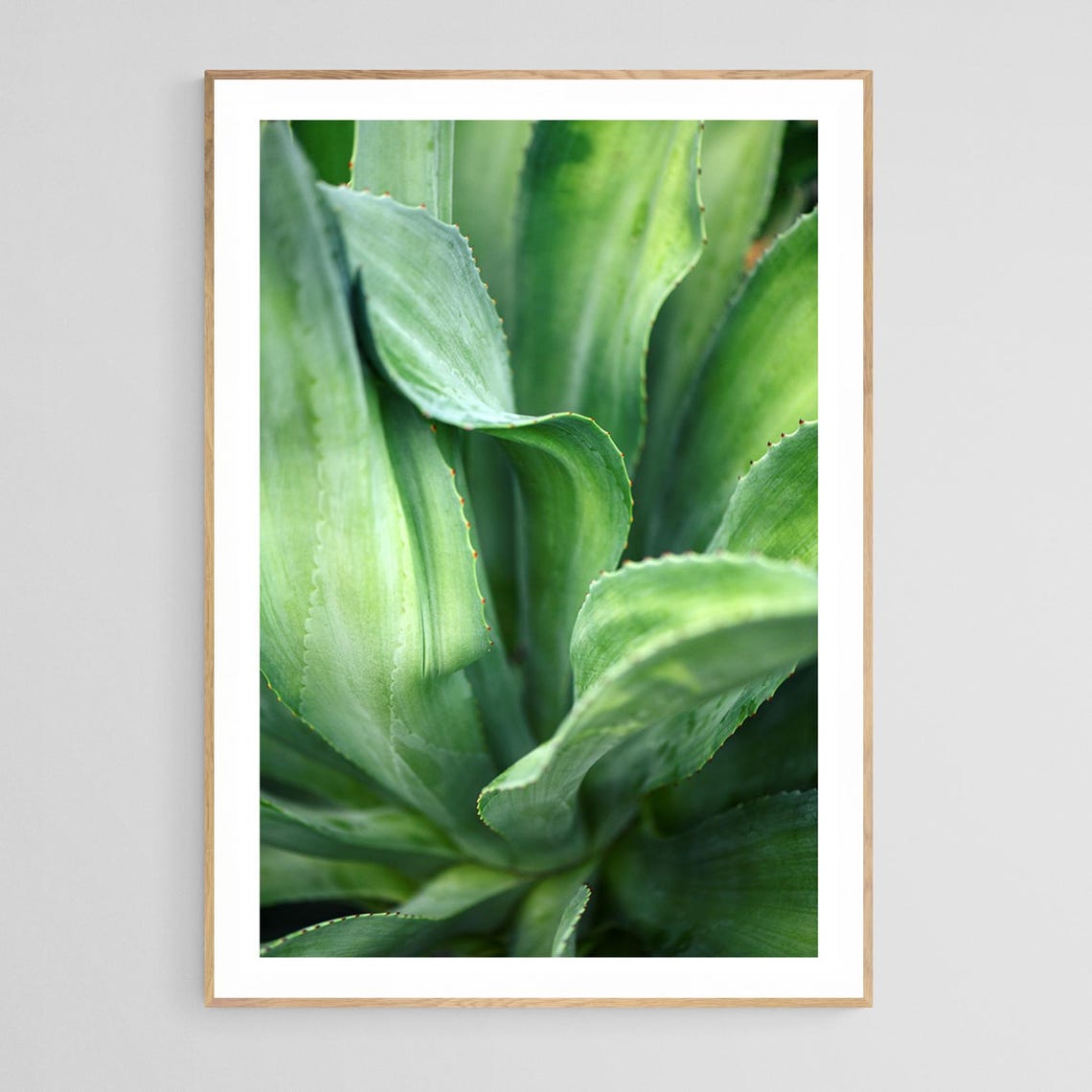 Cactus Print, Desert Botanical Art Print
