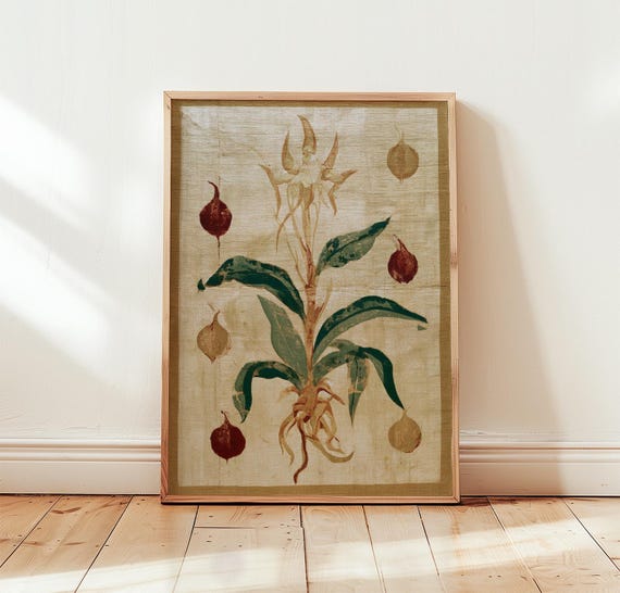 Vintage Botanical Print Pomegranate Wall Art Antique Nature Poster