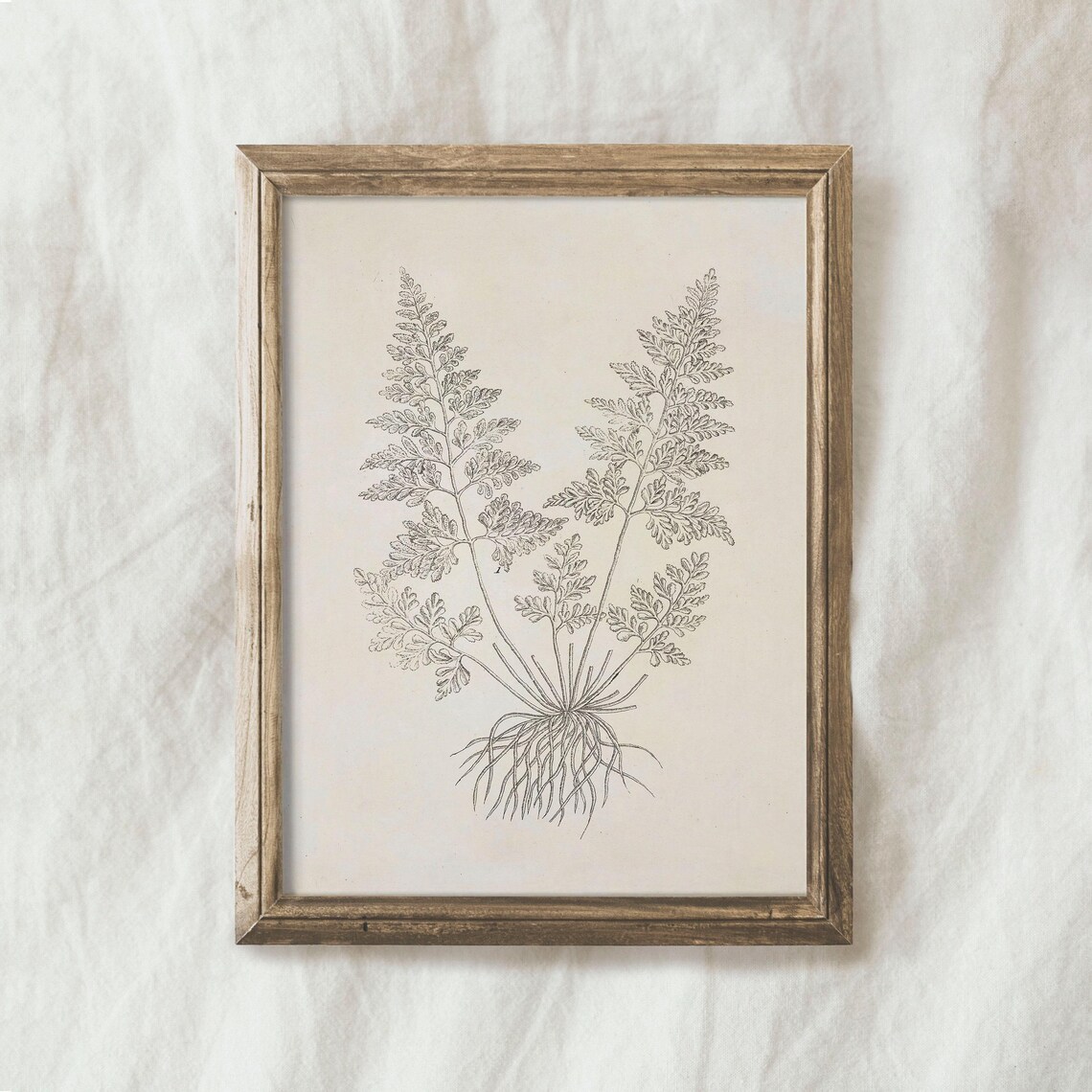 Antique Branch Drawing Vintage Fern Sketch Art Print - Image 4