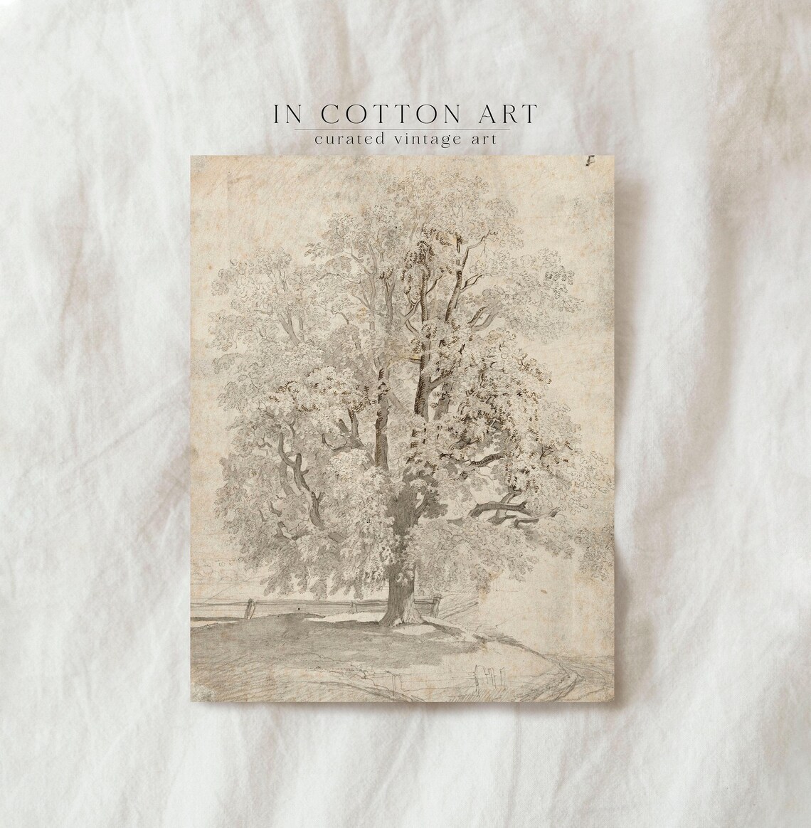 Vintage Tree Drawing, Rustic Wall Art Print