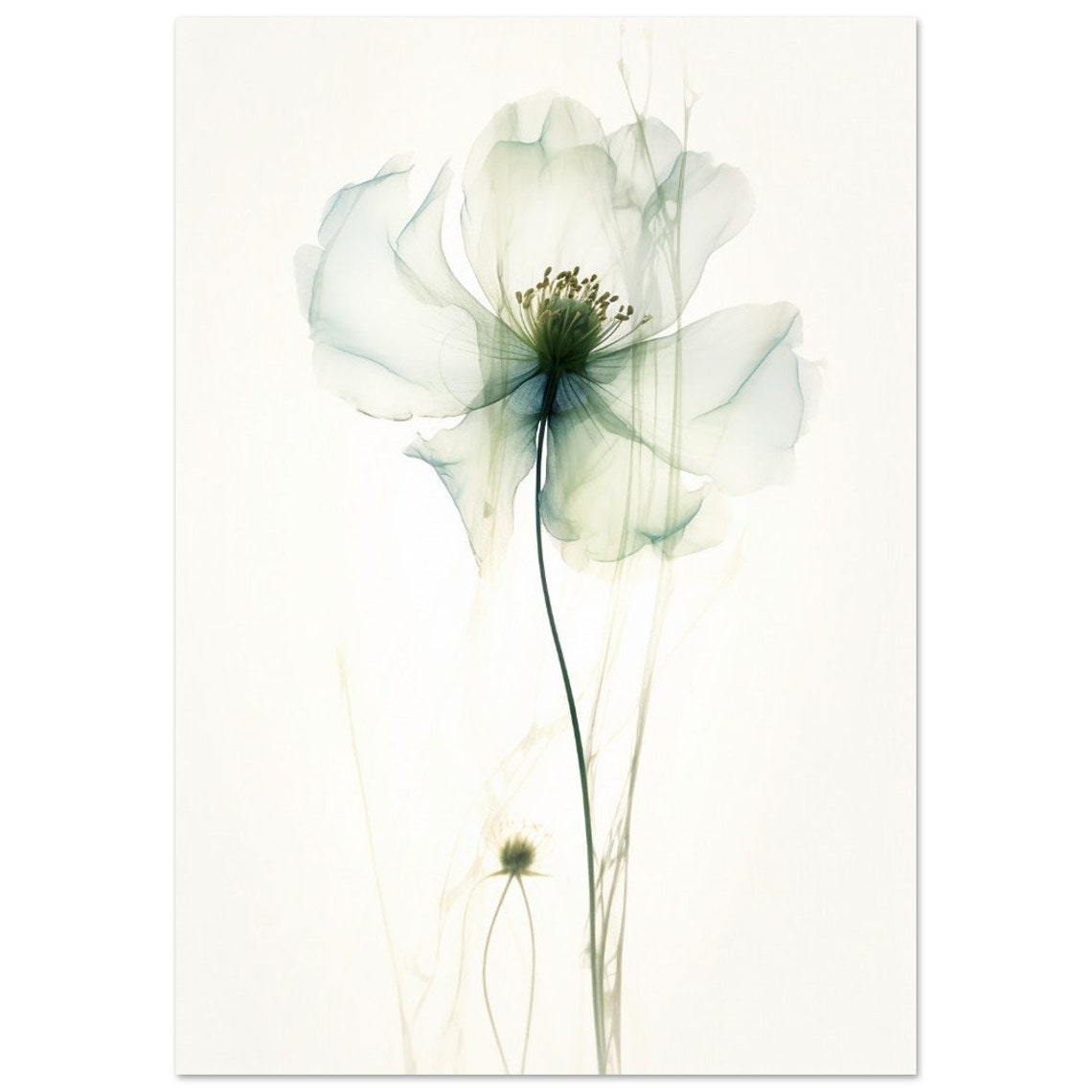 Ethereal White Flower Transparent Petals Soft Botanical Wall Art - Image 2